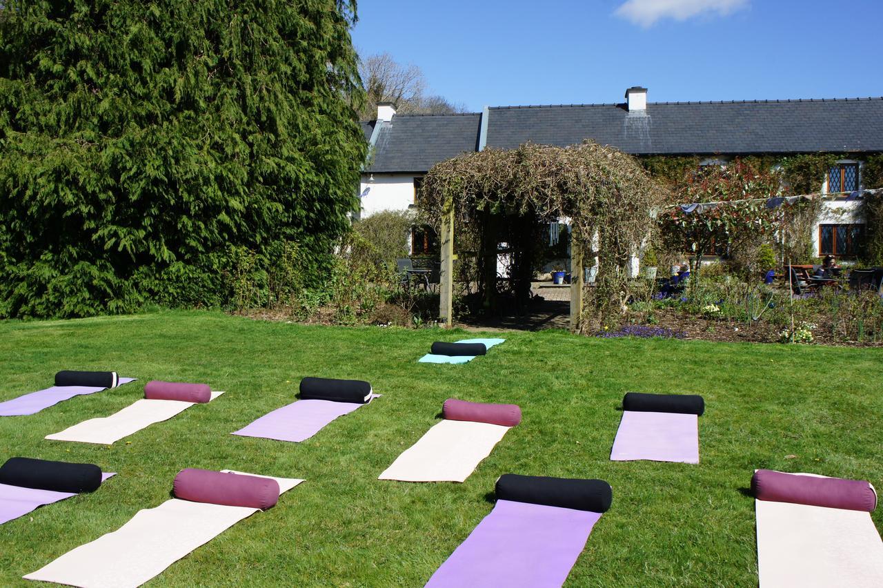 Creacon Wellness Retreat Hotel New Ross Eksteriør billede